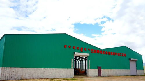 高原黑金 锡林郭勒羊粪如何成为国家地标农产品的秘密